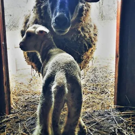 Dom wakacyjny Gabika Koszyce