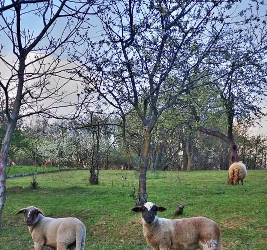 Сasa de vacaciones Gabika *